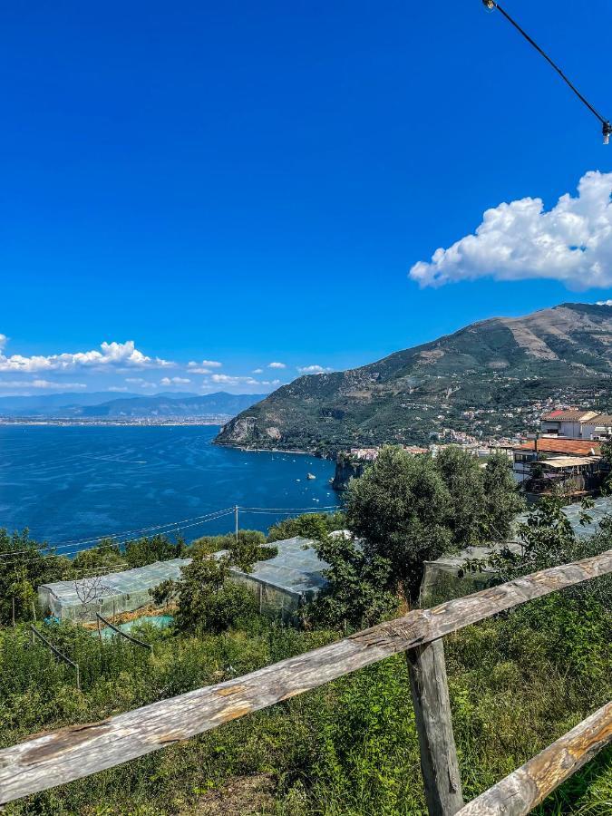 Antica Tenuta Celotto Vico Equense Eksteriør billede