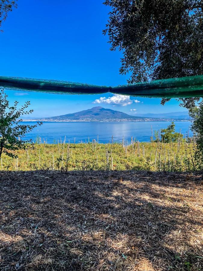 Antica Tenuta Celotto Vico Equense Eksteriør billede