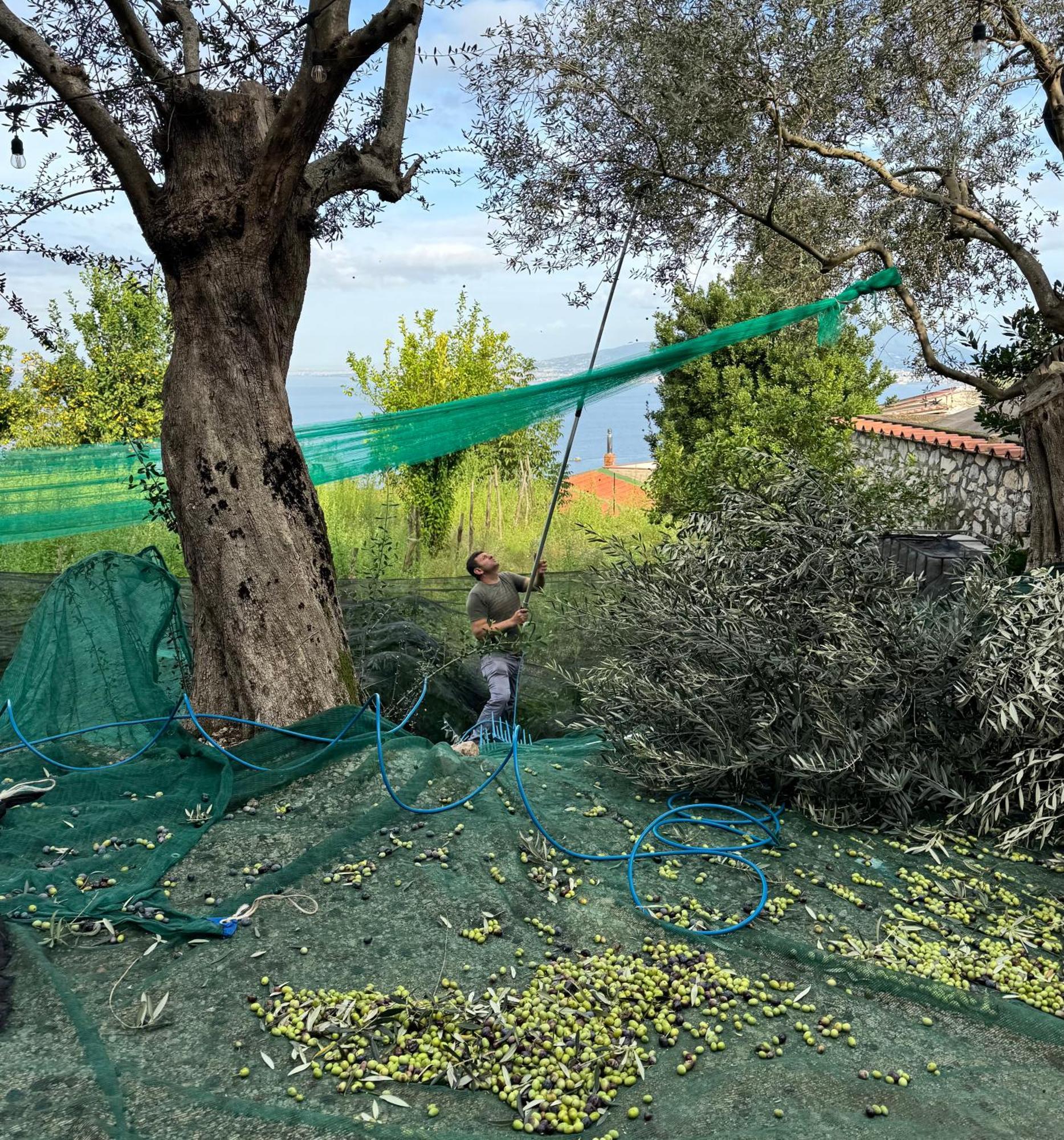 Antica Tenuta Celotto Vico Equense Eksteriør billede